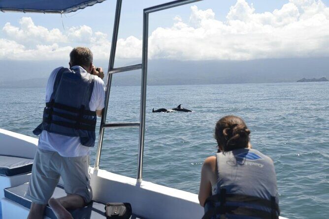 Whales and Dolphins watching Tour From Uvita - Who Will Love This Tour?
