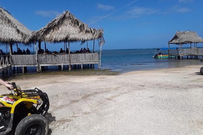 Wildlife adventure, Chocolate factory, city Tour & Beach Break - What’s Included and What’s Not