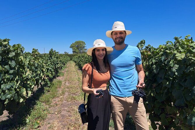 Wine Lovers - Indulge in a Fun Tasting with Light Lunch! - Additional Highlights and Optional Upgrades