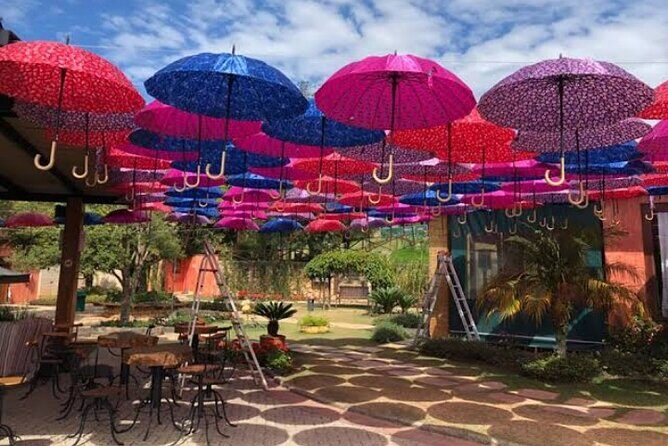 Wine Tour in São Roque by Car, Tour with Local Guides - Who Should Consider This Tour?