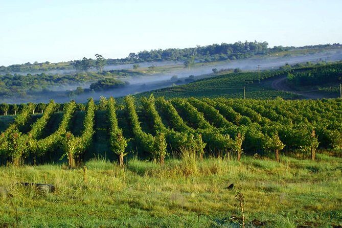 Wineries of the South, Maria Fumaça Train and Italian Epic Park - Final Thoughts: Is It Worth It?