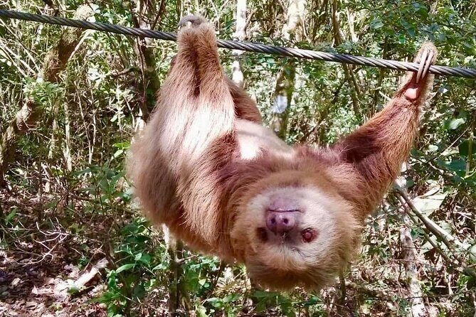 Zip Line, Rappel, Hiking La Carpintera Tour in San Jose - An In-Depth Look at the La Carpintera Experience