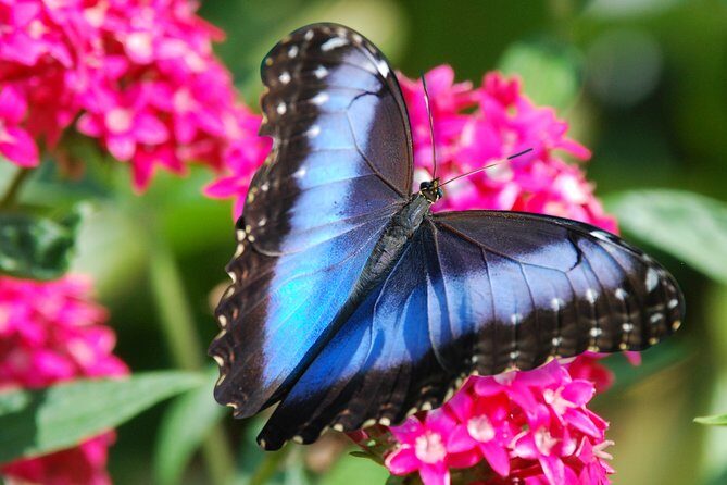 Zipline Canopy Tour from Guanacaste - A Thorough Breakdown of the Experience