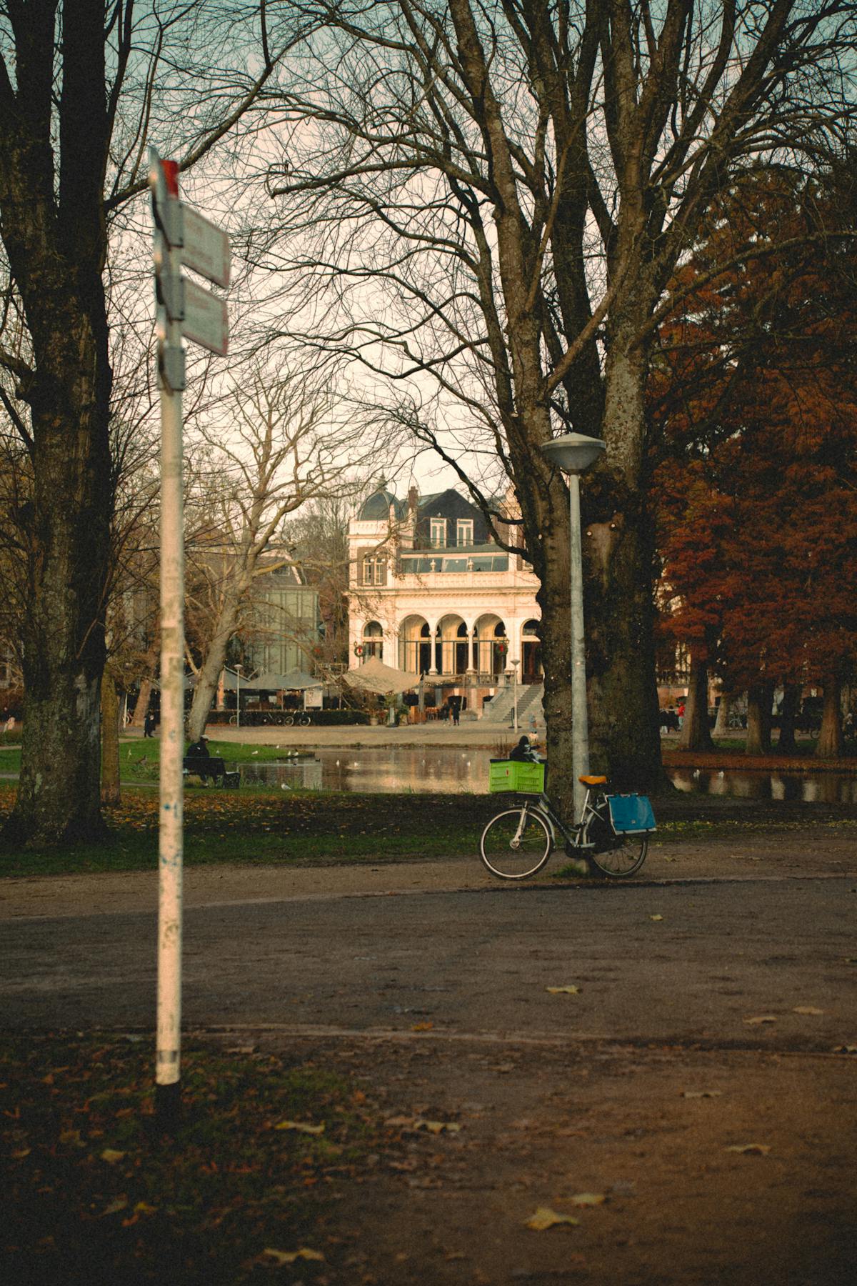 Autumn in an Amsterdam park with a parked bicycle