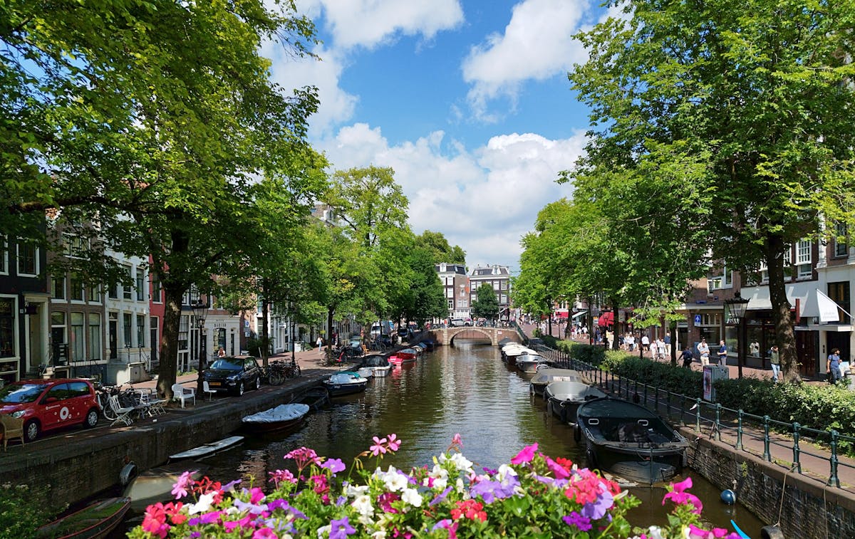 Amsterdam canal lined with boats and colorful flowers on a summer day