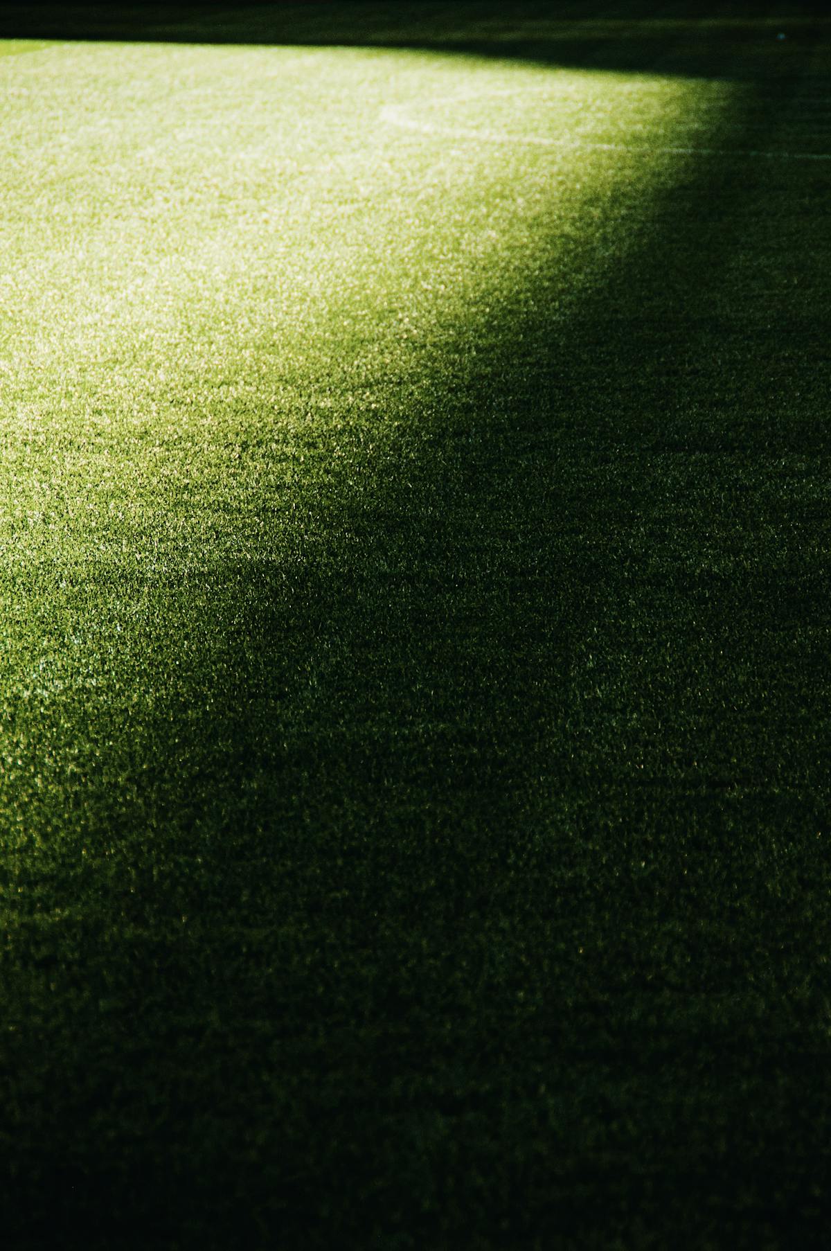Close-up of a perfectly maintained football pitch with sunlight and shadows