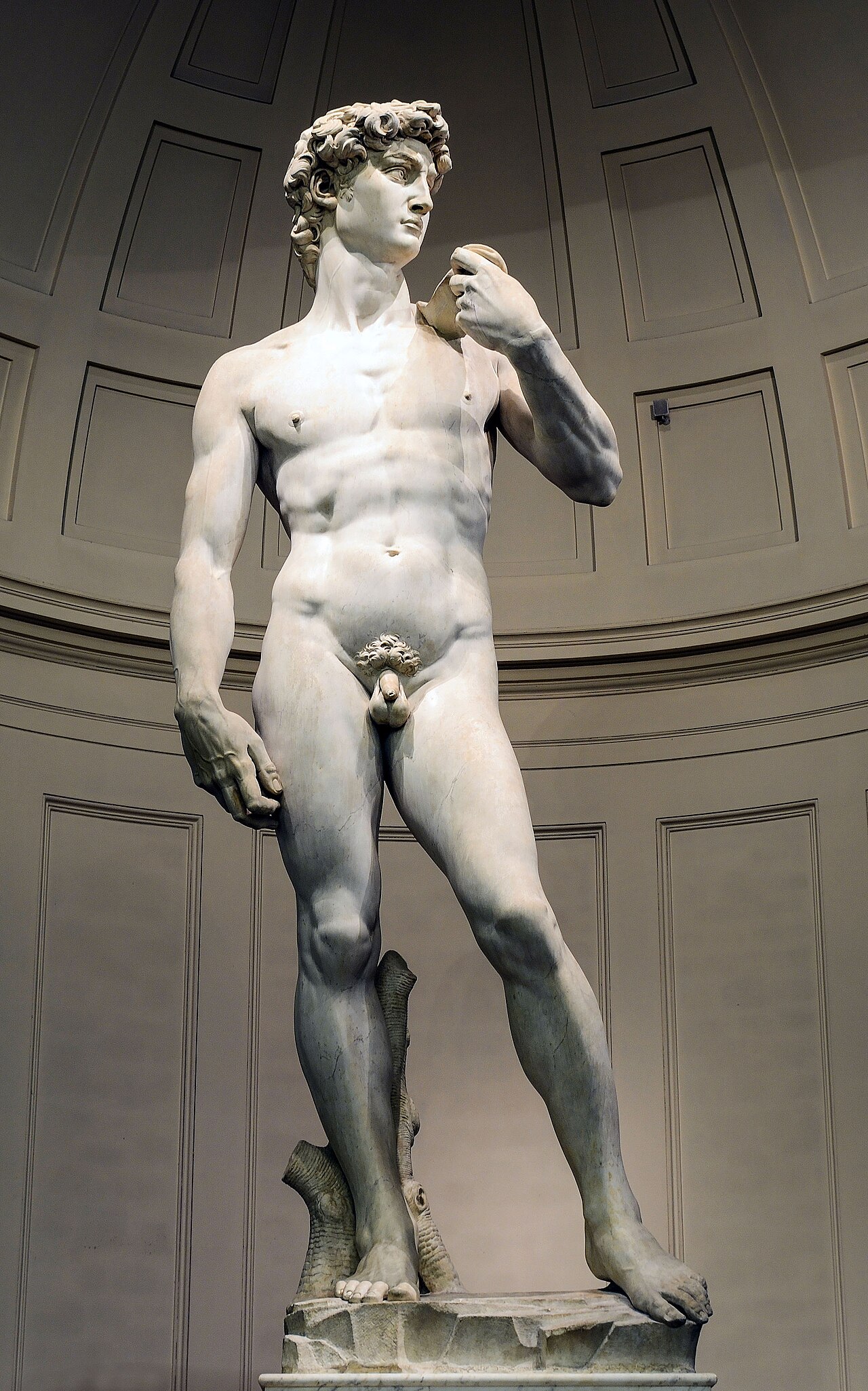 Full view of Michelangelo David statue in the Galleria dell Accademia Florence