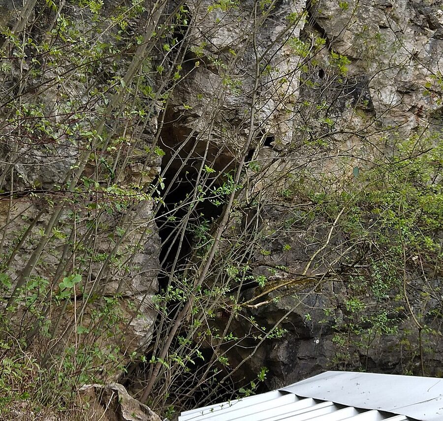 Pál-völgyi cave exit chamber