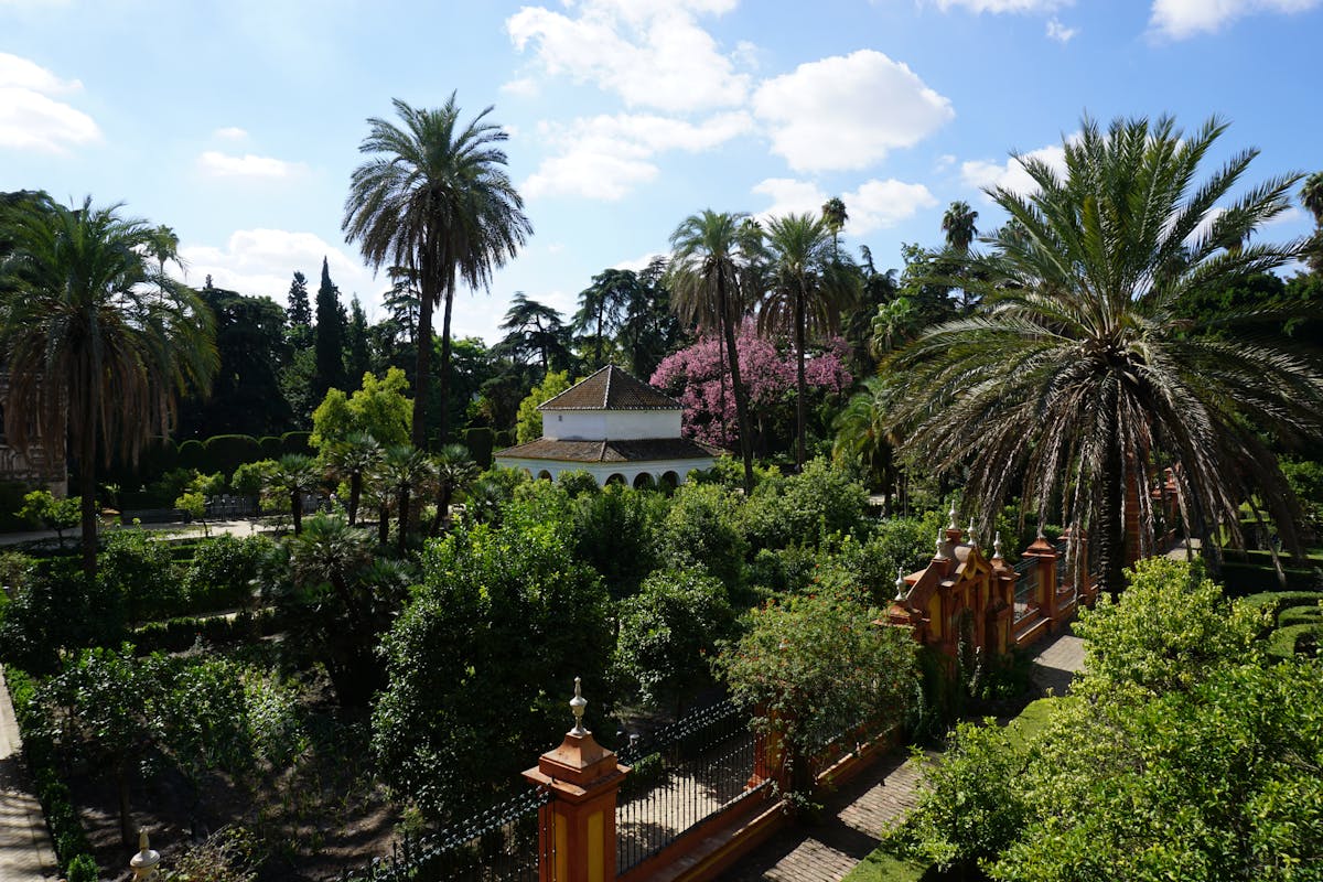 Garden with palm trees and a pavilion in the Alcazar of Seville