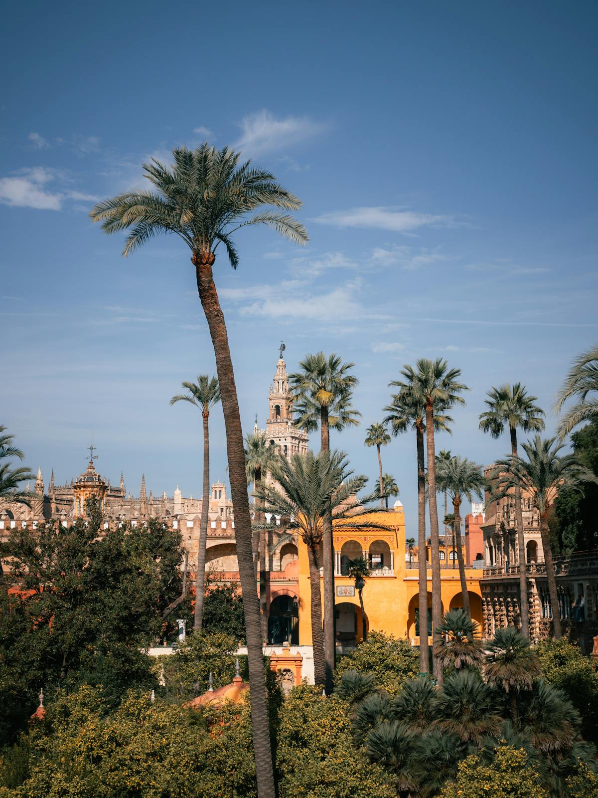 Exterior view of the Alcazar with palm trees