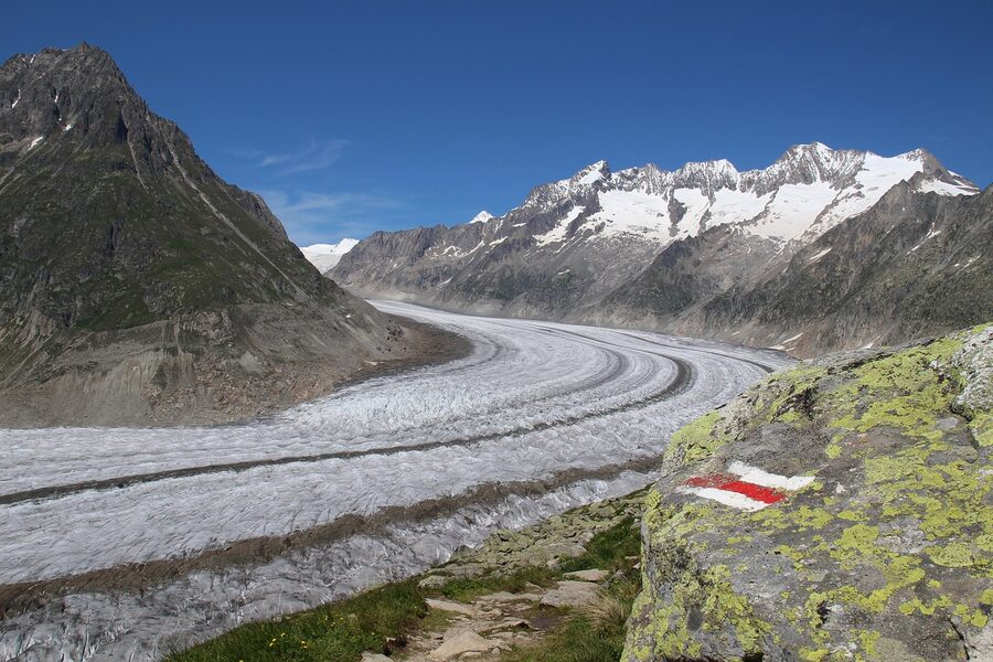 Aletsch Glacier winding through the Swiss Alps seen from a mountain viewpoint