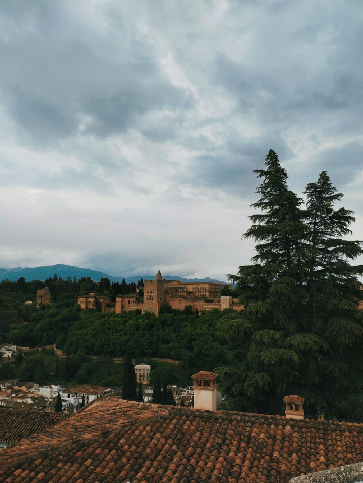 The Alhambra Palace surrounded by lush green trees and gardens