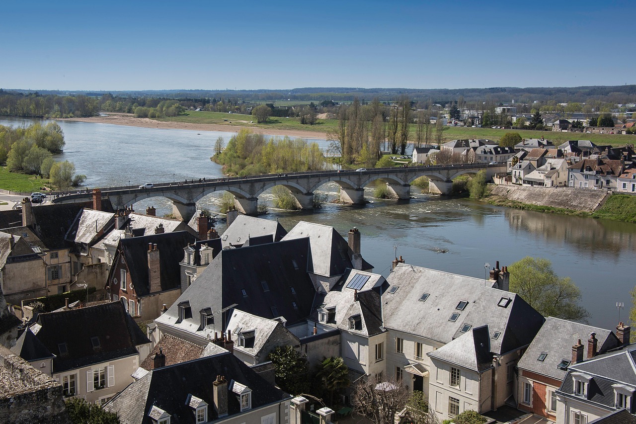 Amboise bridge and houses along the Loire River