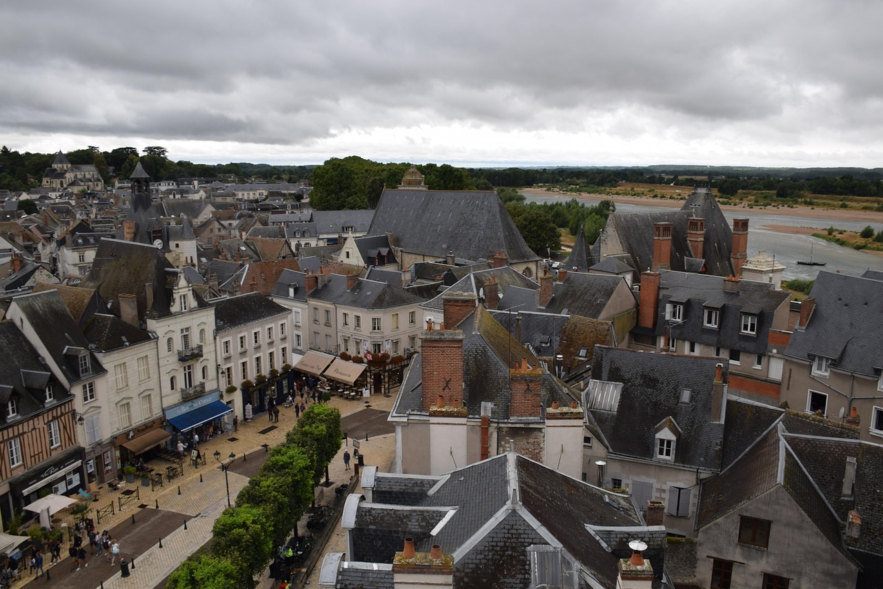 Panoramic view of Amboise town and the Loire River