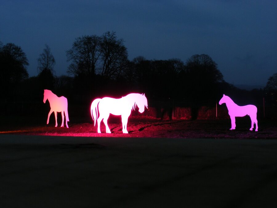 Dim art installation room