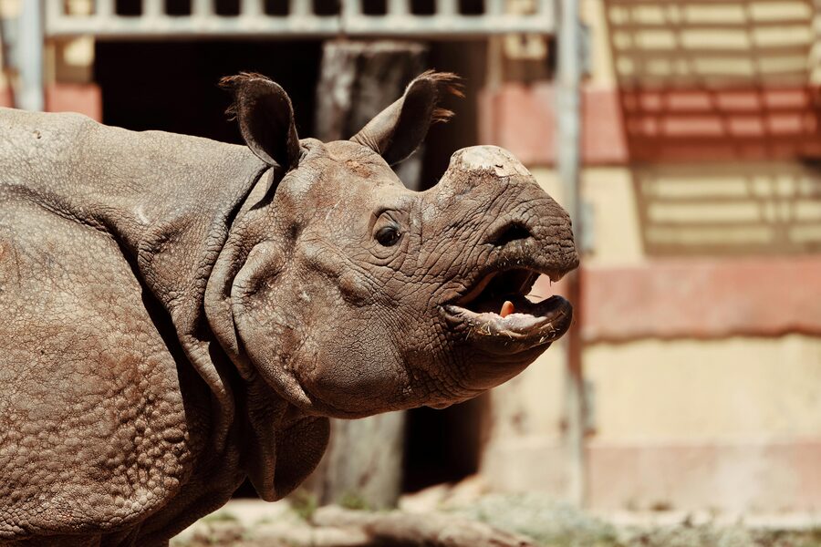 Zoo pathway closing view