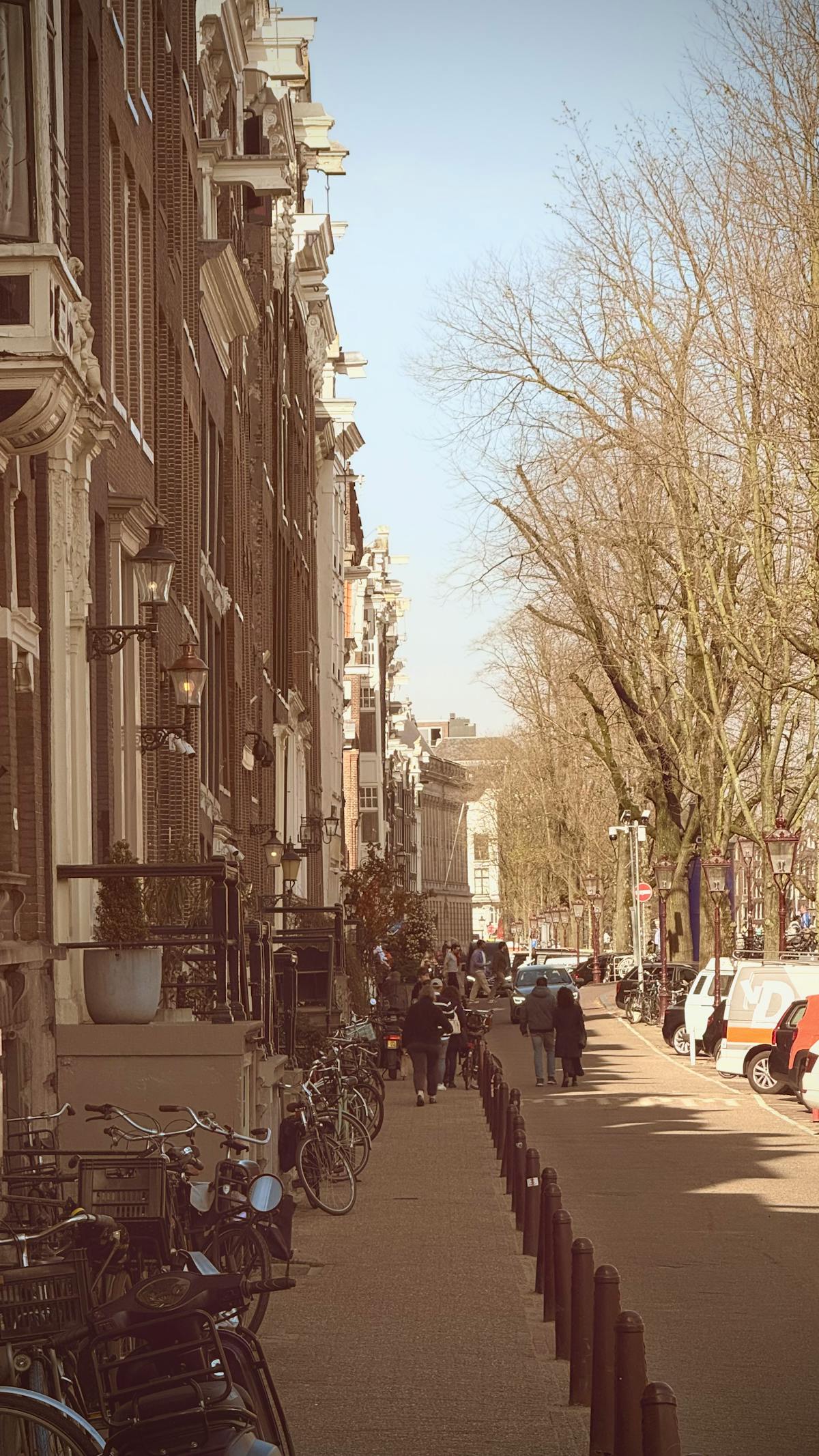 Sunny Amsterdam street with bikes and classic architecture
