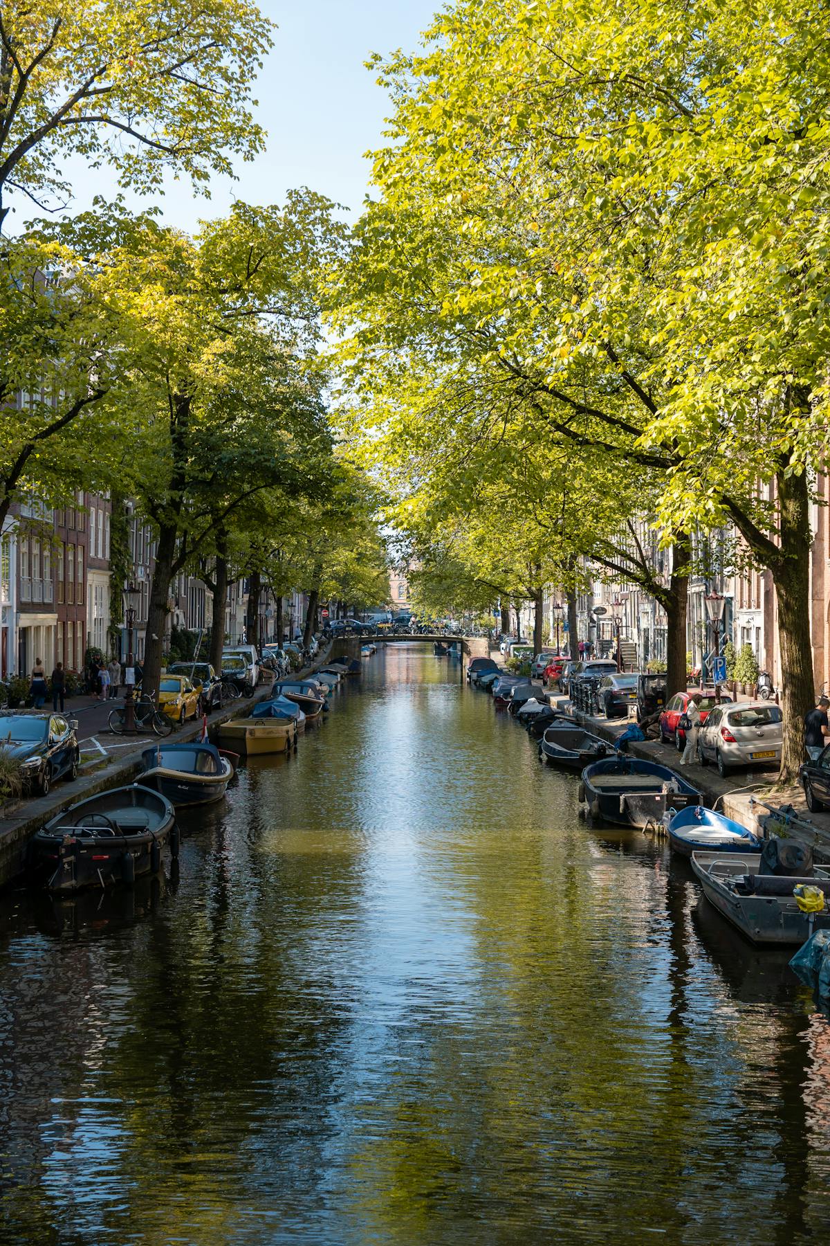 Beautiful Amsterdam canal lined with boats, trees, and historic architecture