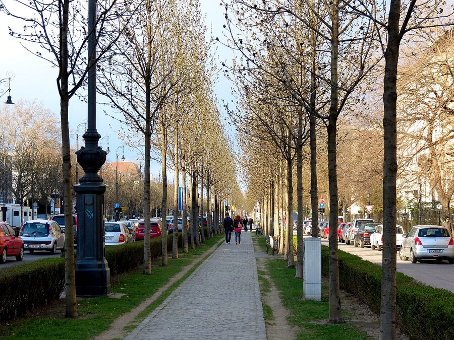 Andrássy Avenue with historic buildings in Budapest