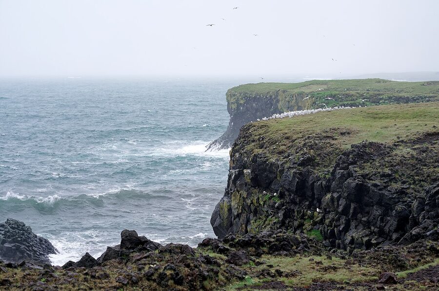 Sea cliff at Arnarstapi Iceland with basalt columns