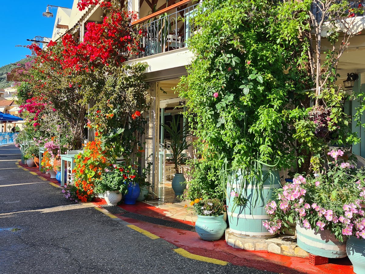 Colorful entrance on a Greek street covered in bougainvillea and potted flowers