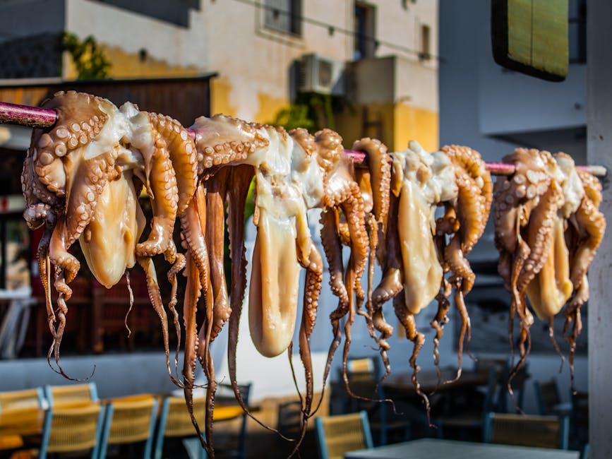 Dried octopus Greek market