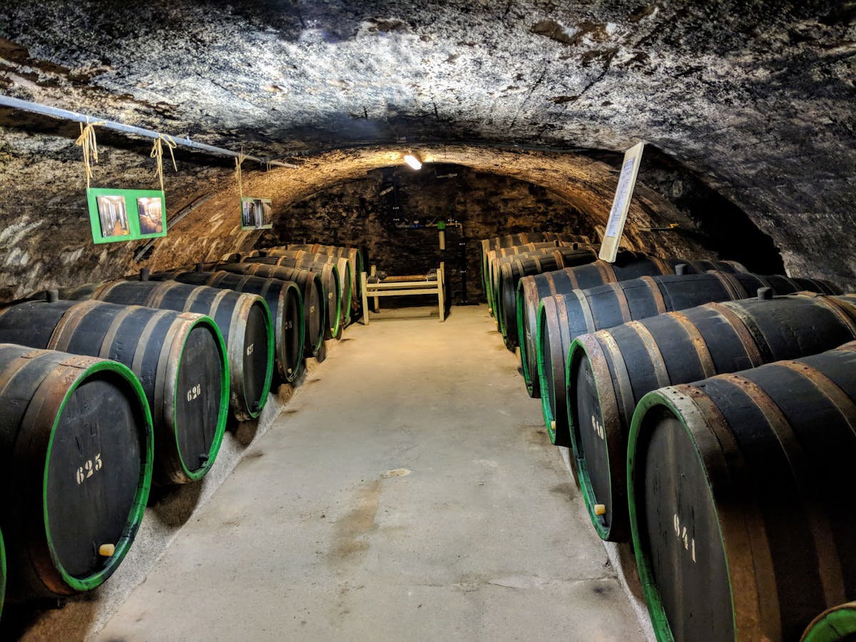 An atmospheric wine cellar with stone walls and oak barrels