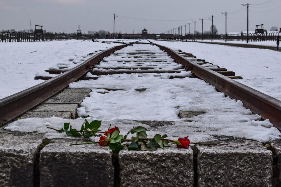 Roses on snow-covered railway tracks at Auschwitz Birkenau