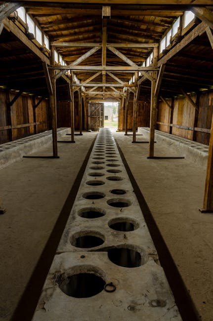 Close-up of barbed wire at a concentration camp memorial
