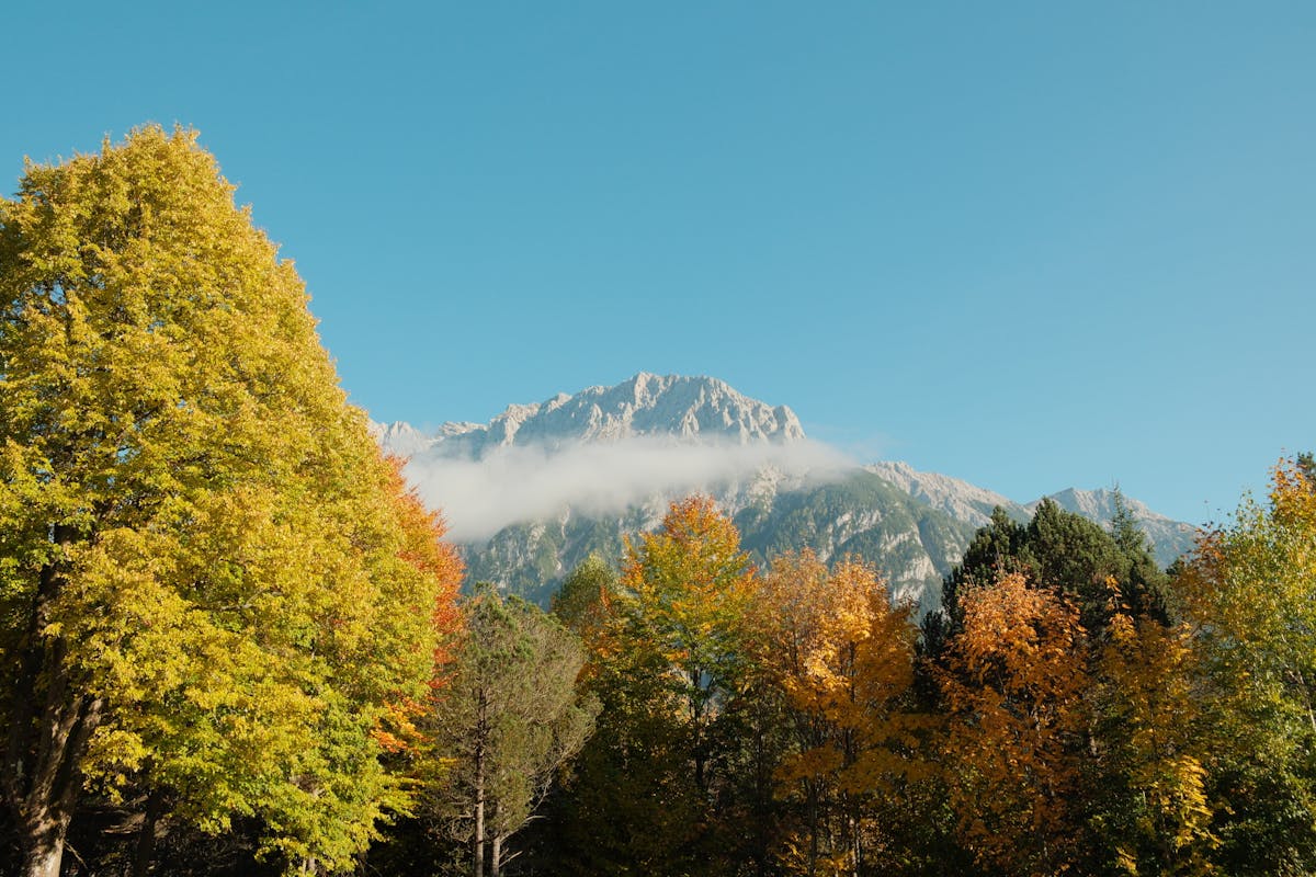 Autumn foliage and mountain peaks in the Bavarian Alps near Mittenwald