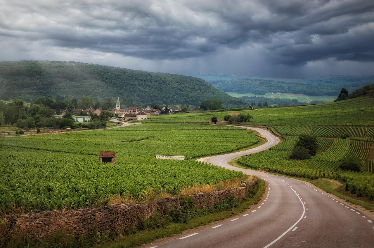 A narrow road winding through Burgundy vineyards under dramatic cloud formations