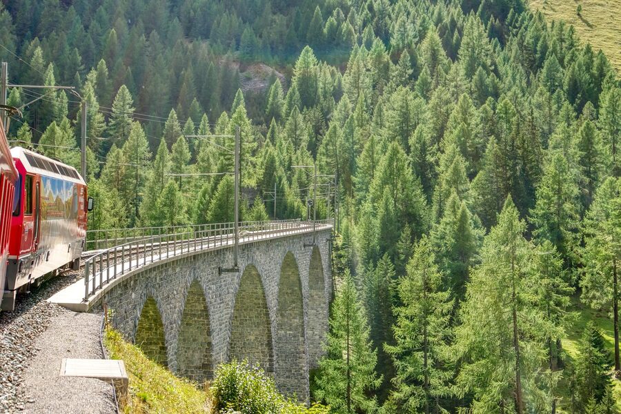 Train crossing a tall stone viaduct through alpine forests in Switzerland