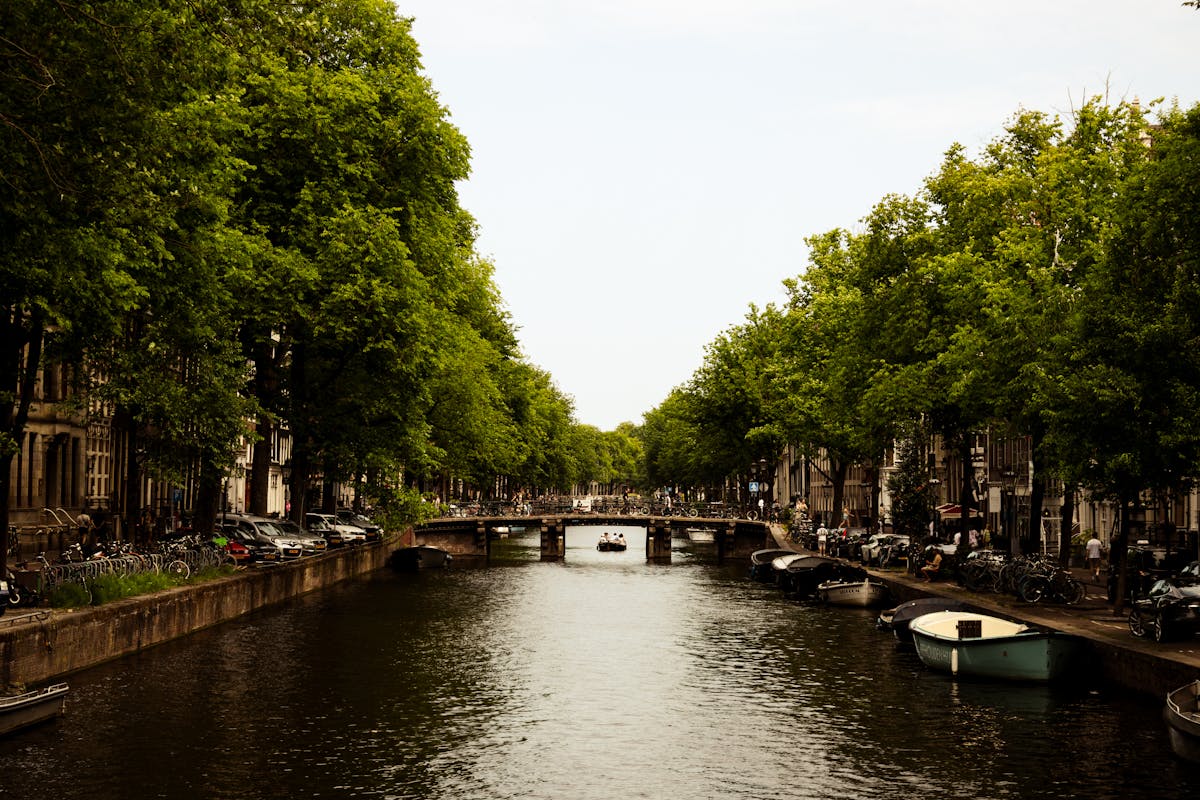 Amsterdam canal with boats and lush green trees