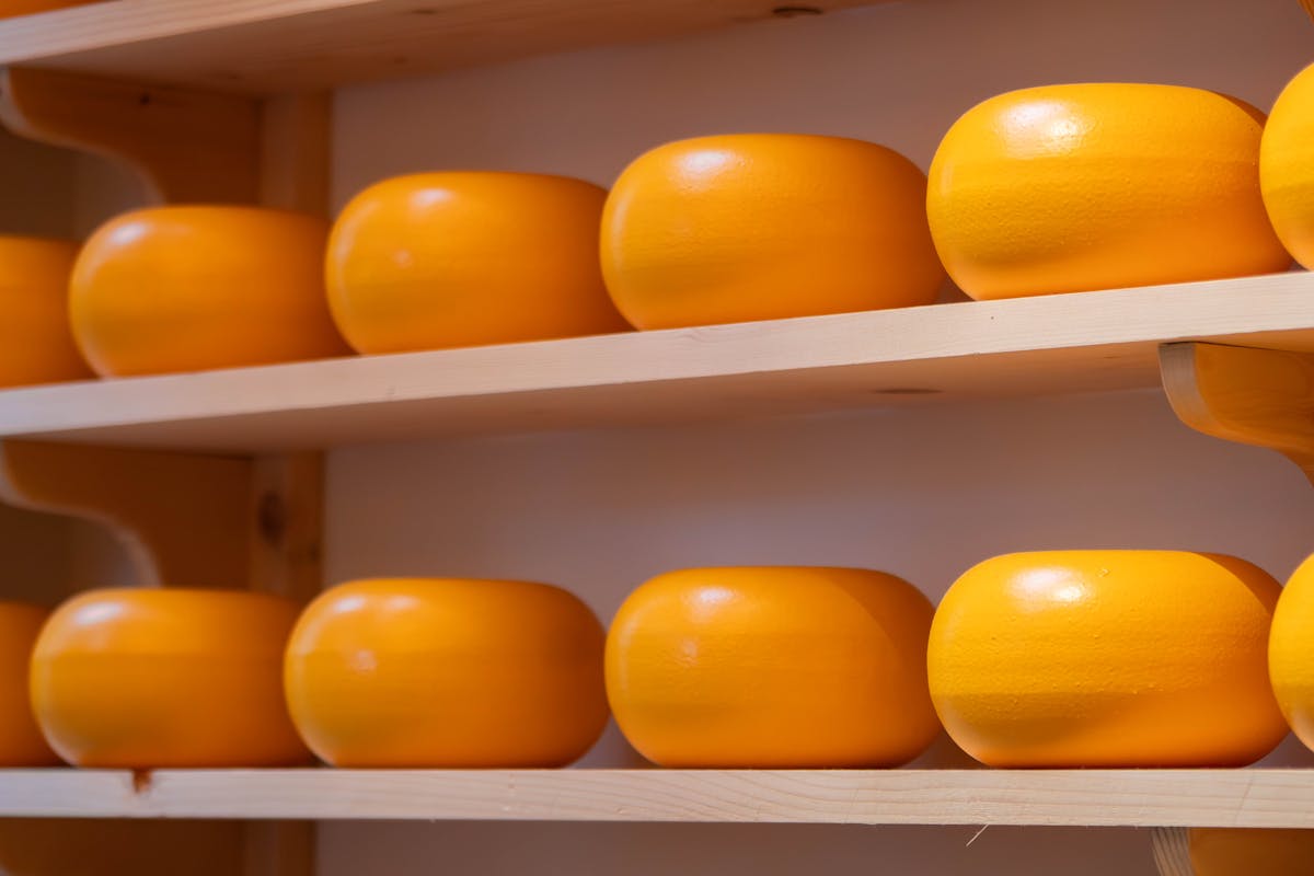 Golden Gouda cheese wheels lined on wooden shelves