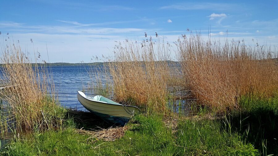 Reeds and small boats in a calm bay of the Swedish archipelago in summer