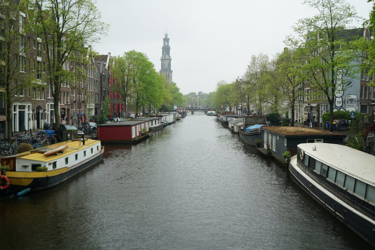 Peaceful morning view of a canal with houseboats in Amsterdam
