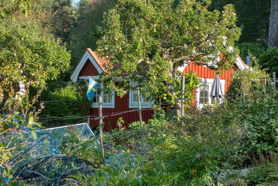 Picturesque red cottage surrounded by greenery in Stockholm, Sweden