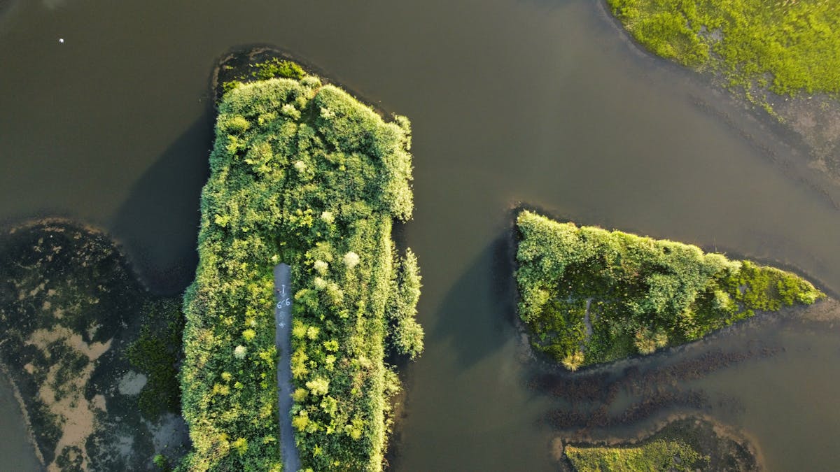 A stunning aerial shot capturing lush green islands surrounded by water in the Netherlands