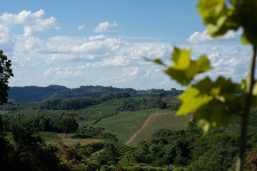 Stadium crowd energy stands