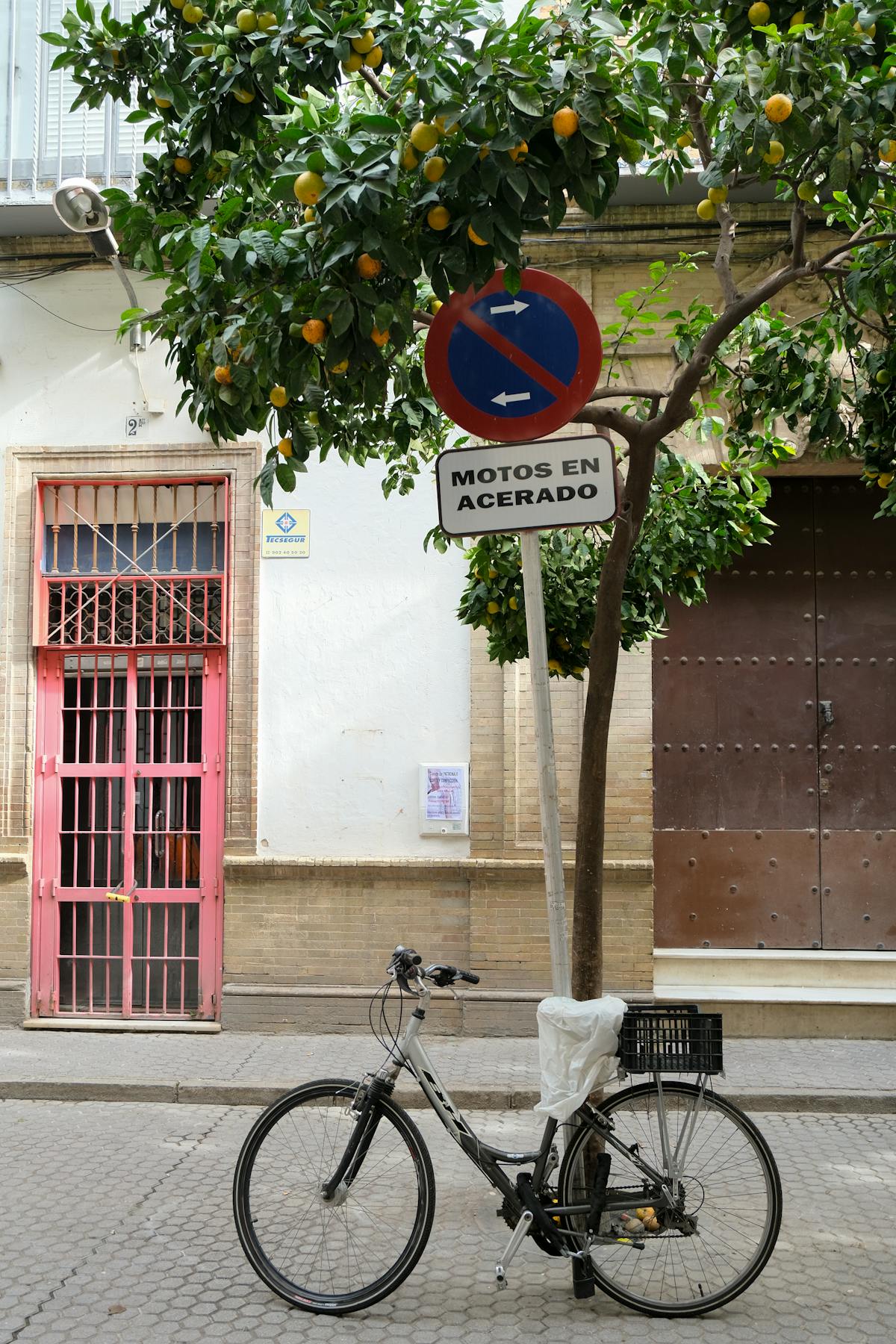 Bicycle parked under an orange tree beside a no parking sign on a Seville street