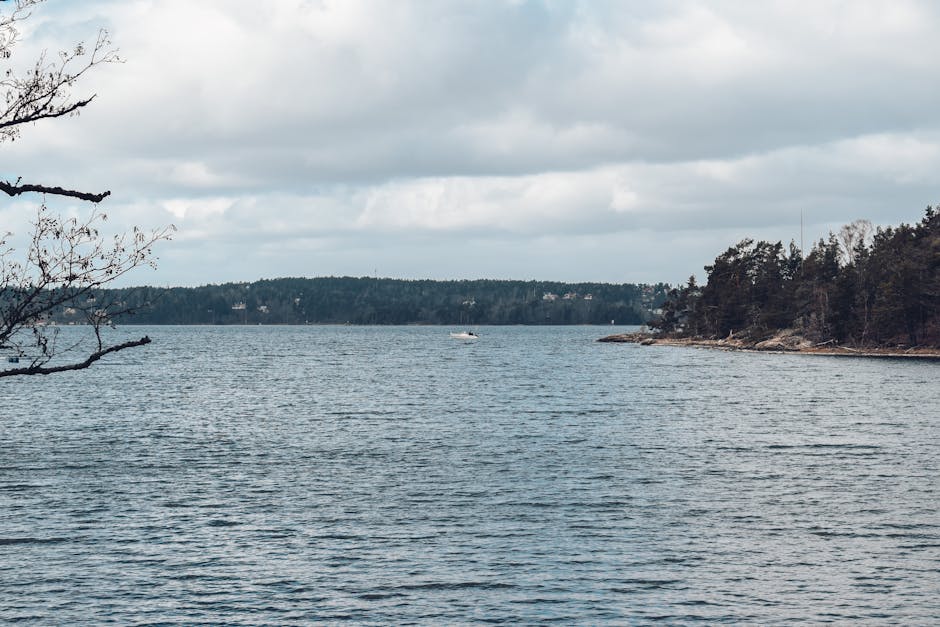 Calm waters of the Stockholm archipelago with forested shoreline