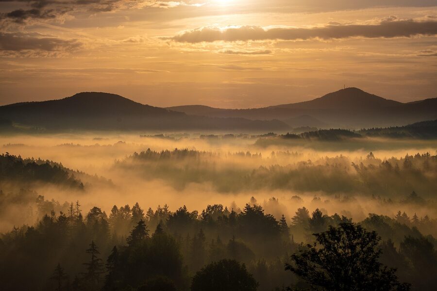 Bohemian Switzerland at sunrise with mist
