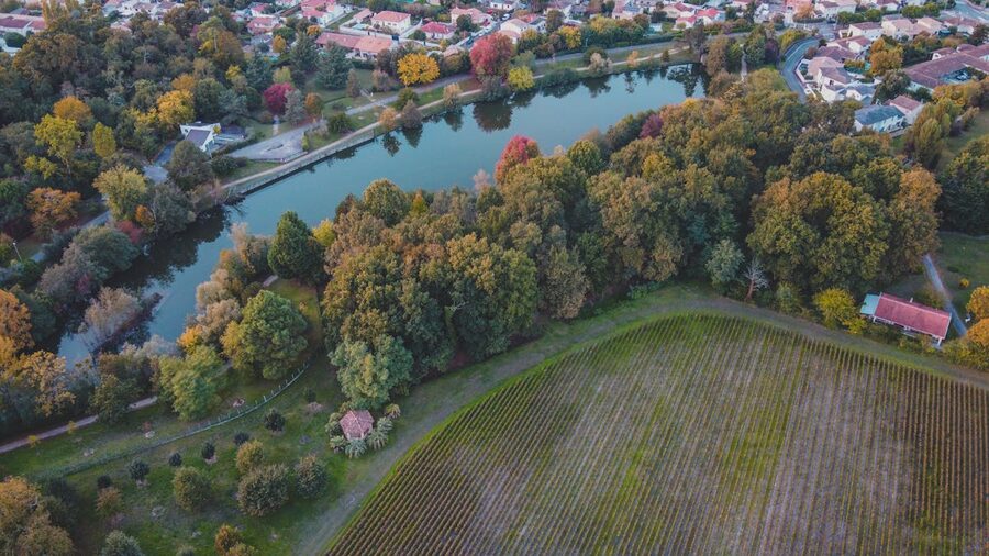 Aerial view of Bordeaux vineyards and river in autumn