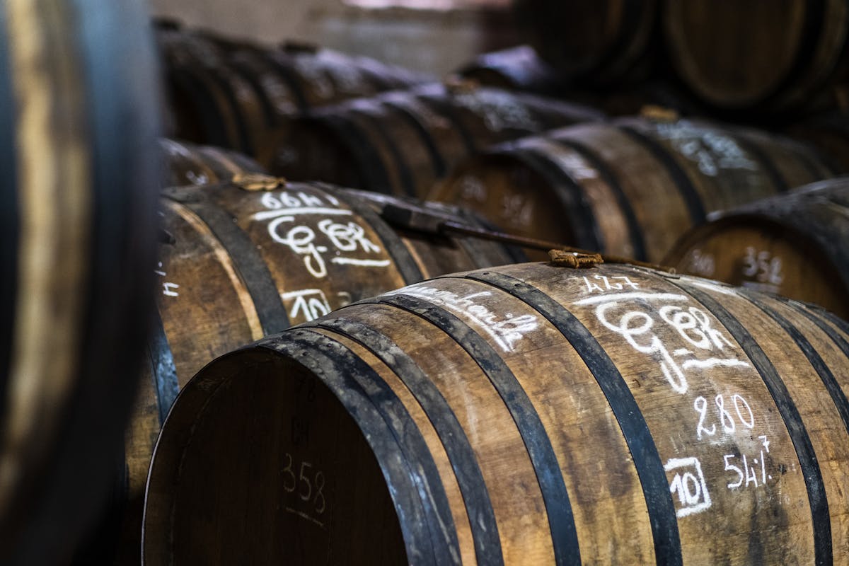 Close-up of wooden wine barrels aging in a Bordeaux vineyard cellar