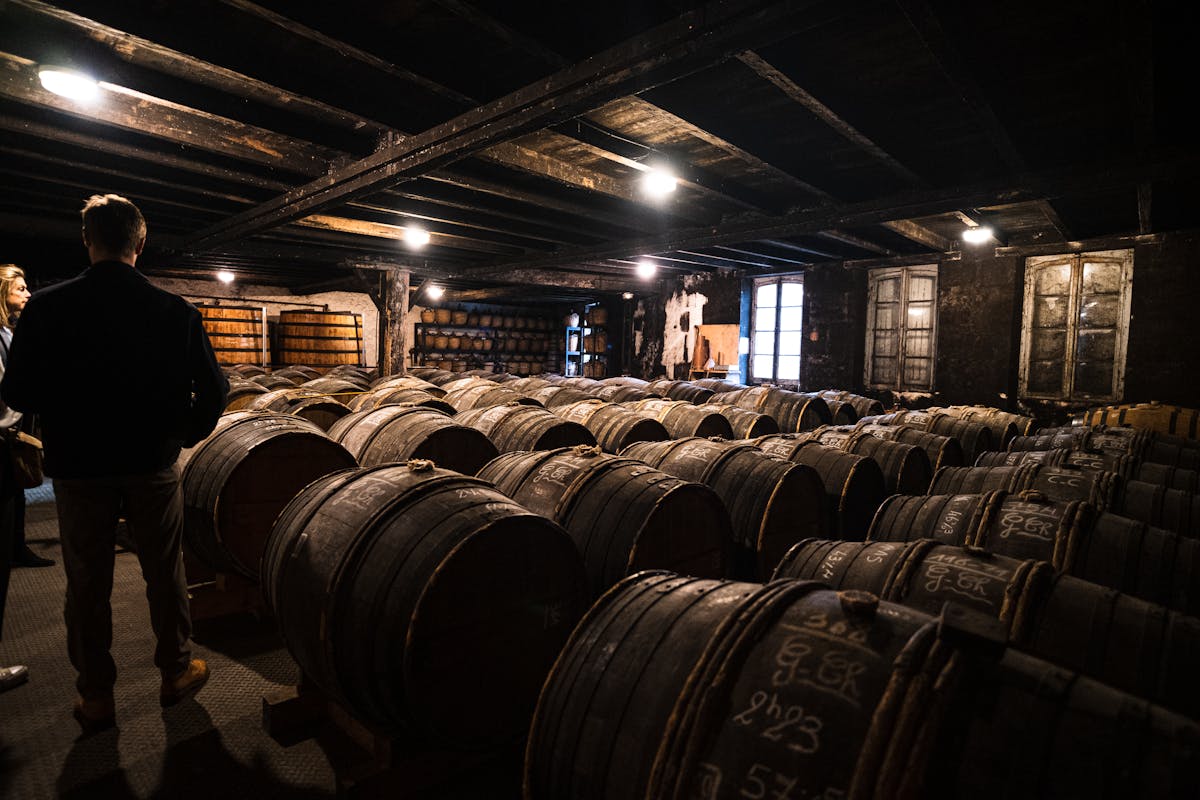 Dimly lit wine cellar in Bordeaux with rows of oak barrels for aging wine