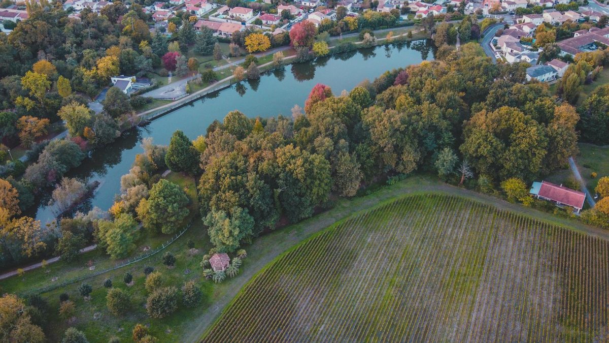 Stunning aerial view of Bordeaux vineyards along the river during autumn