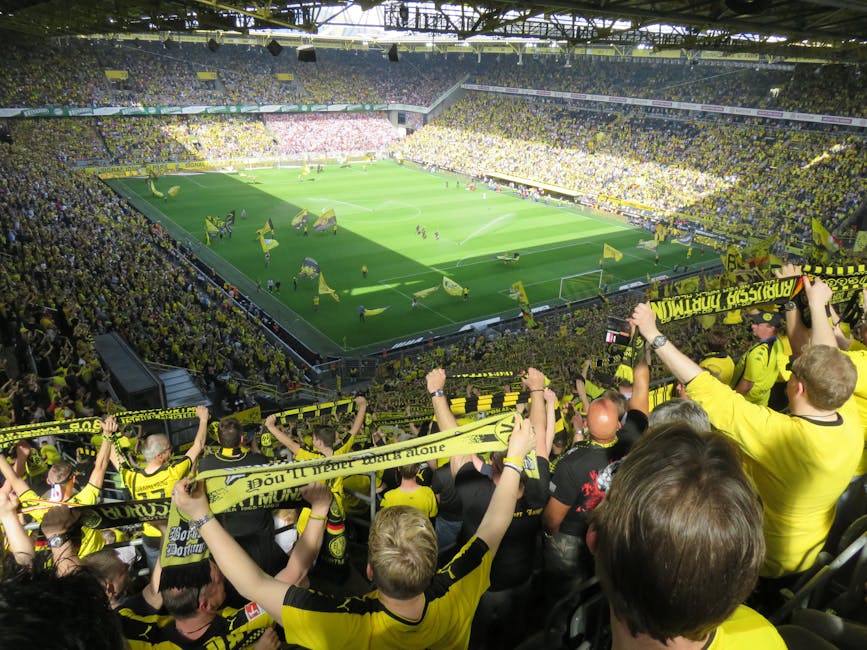 Borussia Dortmund fans cheering