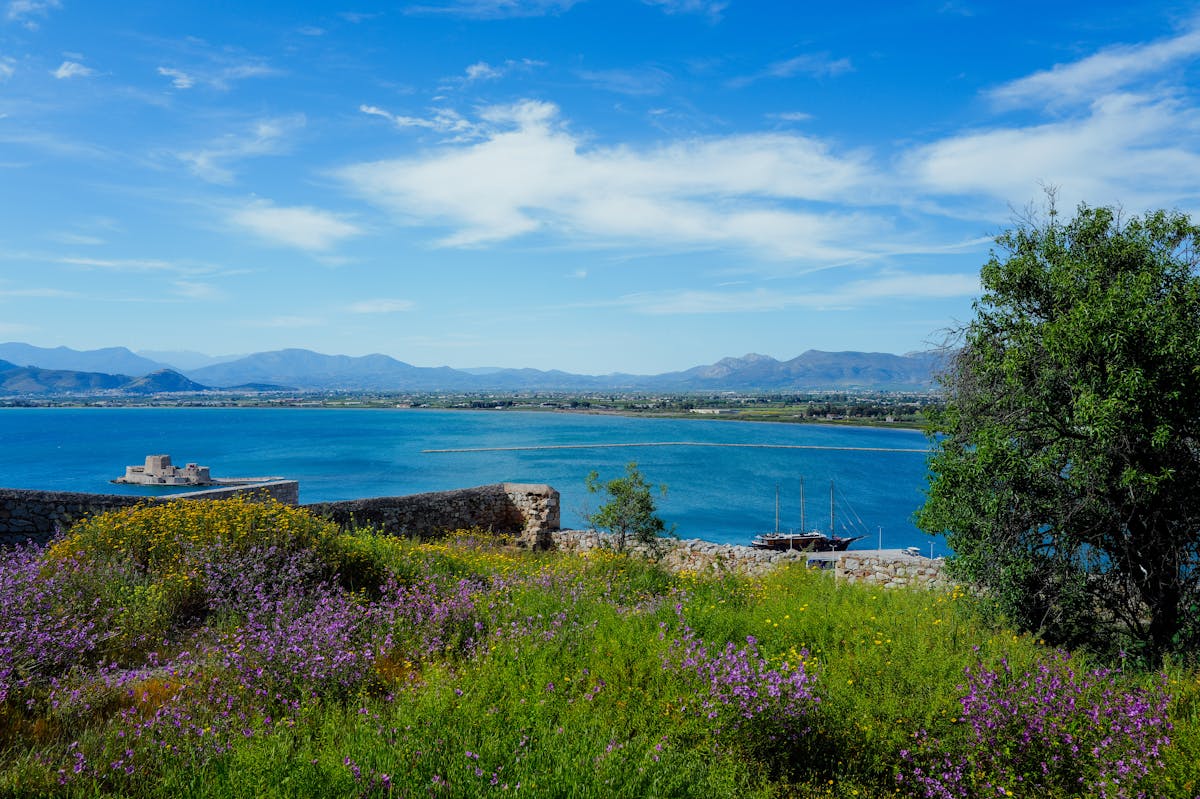 View of Bourtzi Castle in the harbour of Nafplio Greece with wildflowers in the foreground