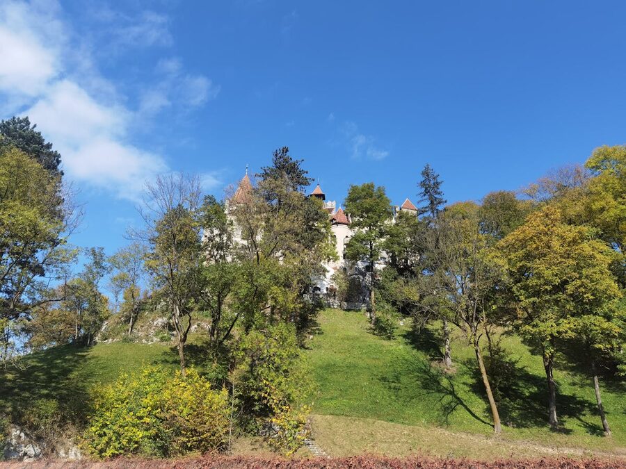 Bran Castle on a sunny day surrounded by lush green trees