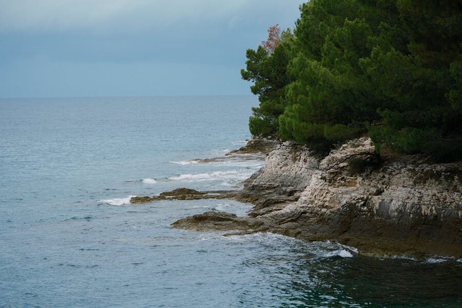 Rugged Adriatic coastline Istria